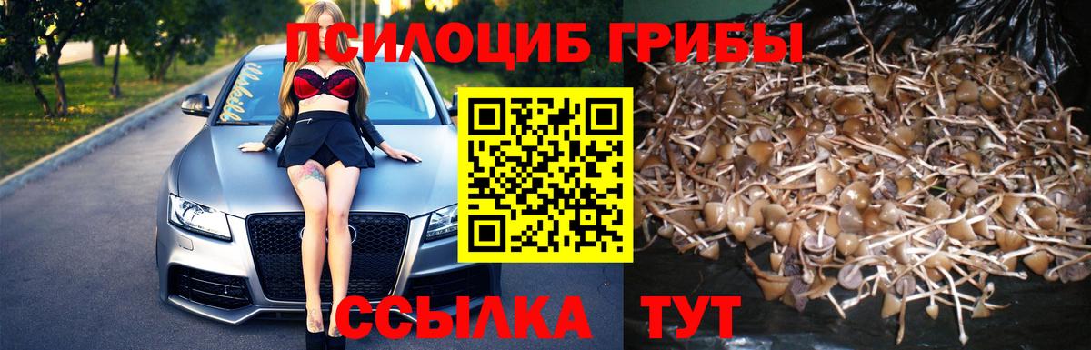 Псилоцибиновые грибы GOLDEN TEACHER Великие Луки